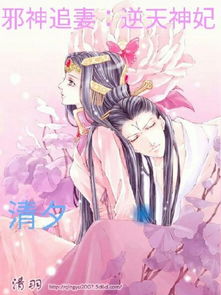 海贼之剑道无双